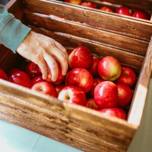 Apple Picking